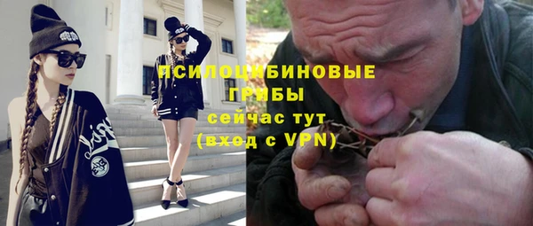 СК Алексин