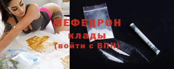 СК Алексин