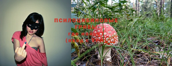 СК Алексин