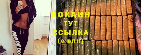 СК Алексин